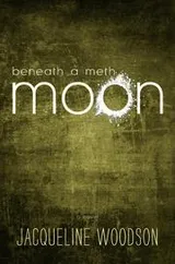Cover of Beneath a meth moon