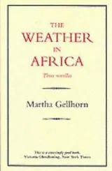 Cover of The Weather in Africa/Three Novellas (History & Politics)