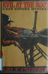 Cover of Evil at the root