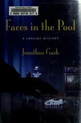 Cover of Faces in the pool