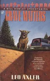 Cover of Grave Matters