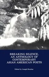 Cover of Breaking Silence