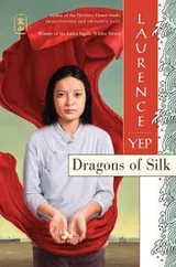 Cover of Dragons of silk