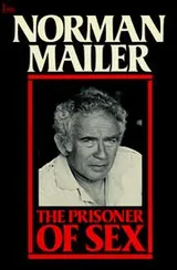 Cover of The prisoner of sex