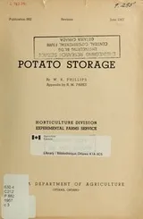 Cover of Potato storage