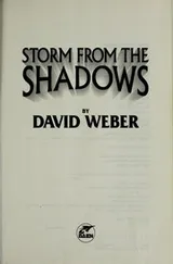 Cover of Storm from the Shadows