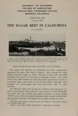 Cover of The sugar beet in California