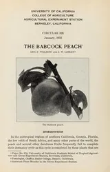 Cover of Mark Twain