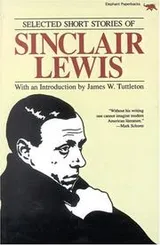 Cover of Selected short stories of Sinclair Lewis