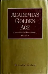 Cover of Academia's golden age