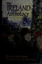 Cover of The Ireland anthology