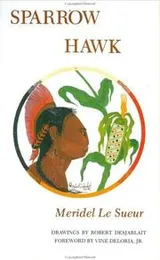 Cover of Sparrow Hawk