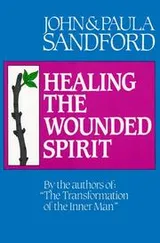 Cover of Healing the wounded spirit