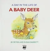 Cover of A day in the life of a baby deer