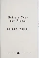 Cover of Quite a year for plumbs