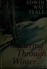 Cover of Wandering Through Winter