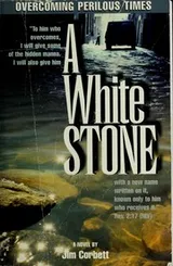 Cover of A white stone