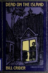 Cover of Dead on the island