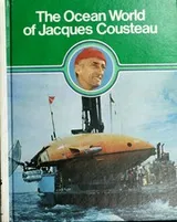 Cover of Invisible messages