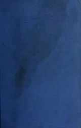 Cover of Drifting Down Delta