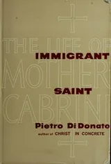 Cover of Immigrant saint