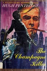 Cover of The champagne killer