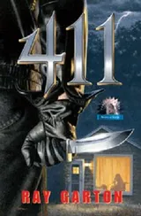 Cover of 411