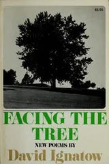 Cover of Facing the tree