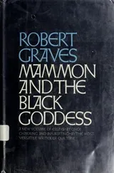 Cover of Mammon and the black goddess