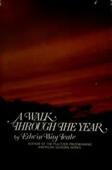 Cover of A walk through the year