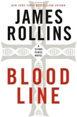 Cover of Bloodline