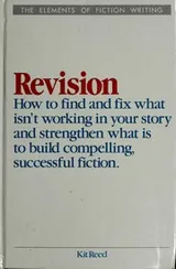 Cover of Revision