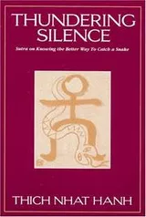 Cover of Thundering silence
