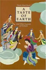 Cover of A Taste of Earth and Other Legends of Vietnam