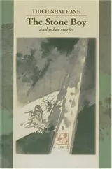 Cover of The Stone Boy and Other Stories