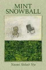 Cover of Mint Snowball