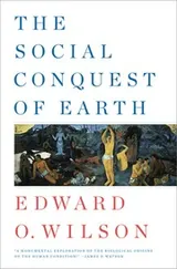 Cover of The social conqeust of earth