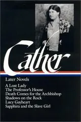 Cover of Later Novels