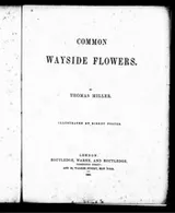 Cover of Common wayside flowers