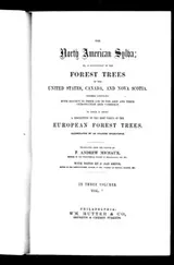 Cover of The North America sylva, or, A description of the forest trees of the United States, Canada, and Nova Scotia