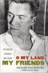 Cover of O my land, my friends