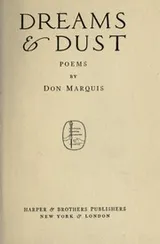 Cover of Dreams & dust, poems