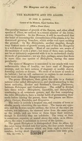 Cover of The mangrove and its allies