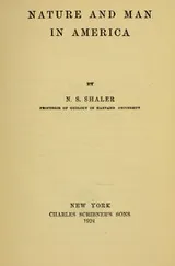 Cover of Nature and man in America