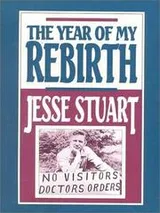 Cover of The year of my rebirth