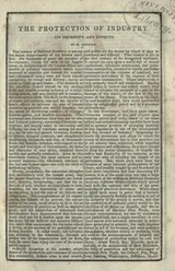 Cover of The protection of industry