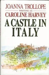 Cover of A Castle in Italy