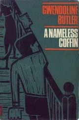 Cover of A nameless coffin