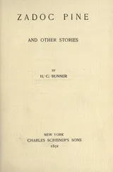 Cover of Zadoc pine and other stories