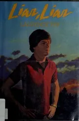 Cover of Liar, liar